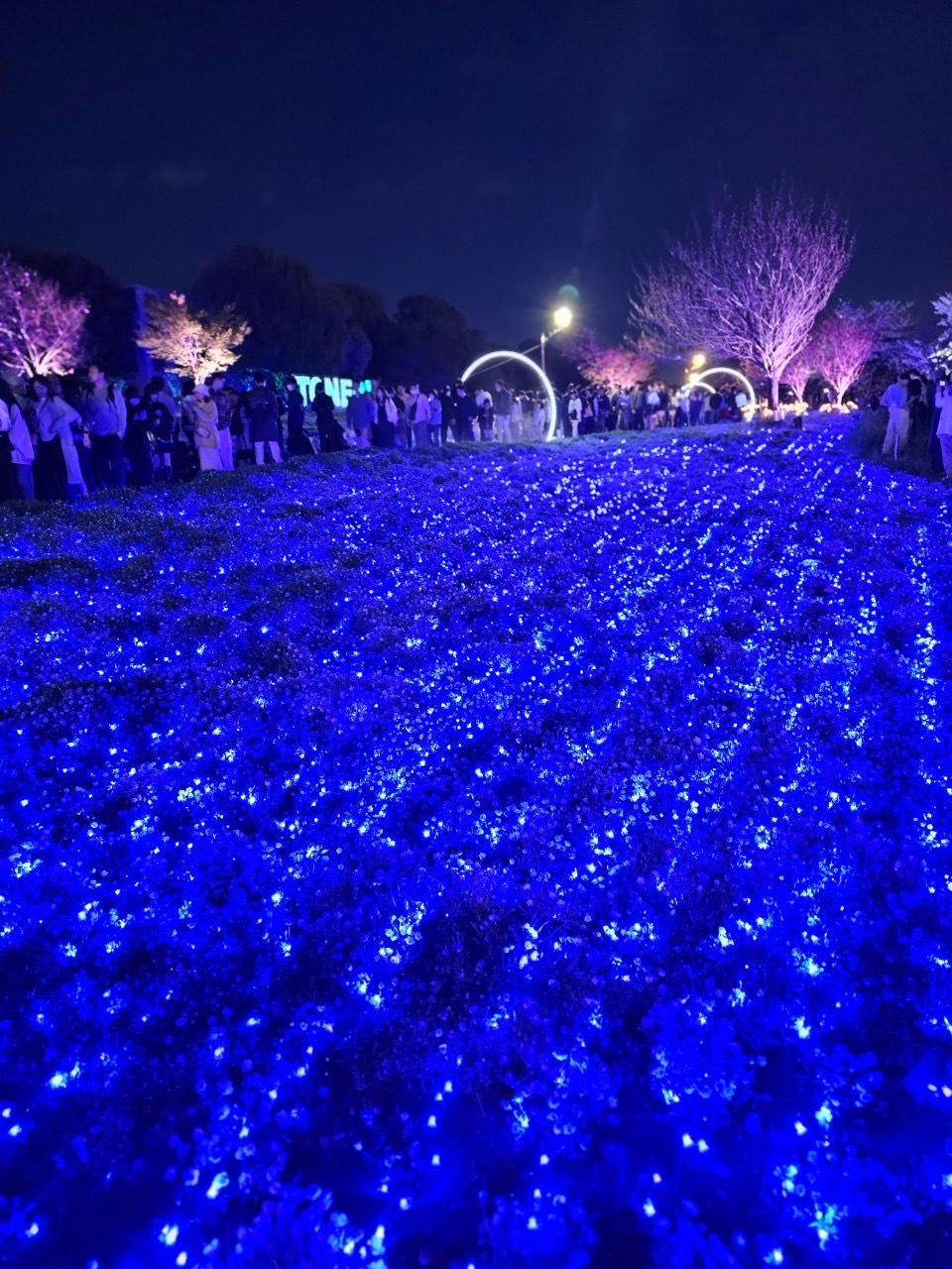 4月の行事では日にちを分けて近隣の公園にお花見に行ってきました。