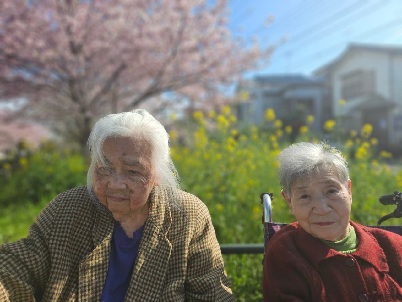 4月の行事では日にちを分けて近隣の公園にお花見に行ってきました。