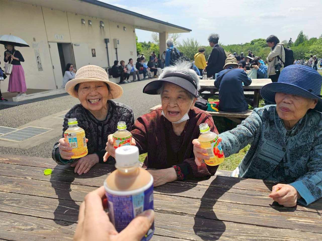 ネモフィラを観賞してきました。