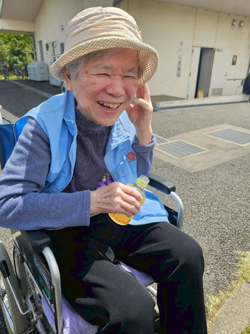 ネモフィラを観賞してきました。