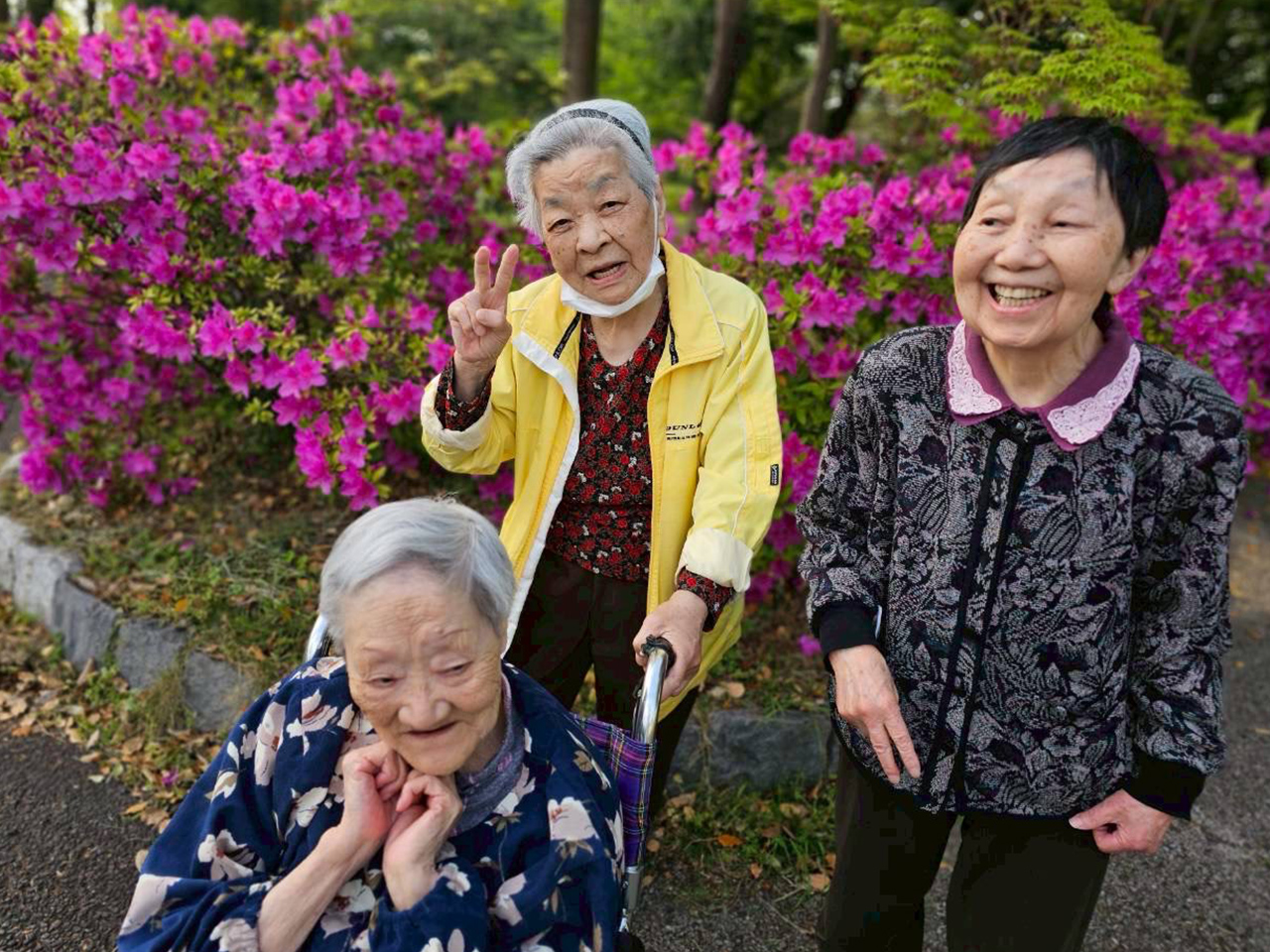 ネモフィラを観賞してきました。