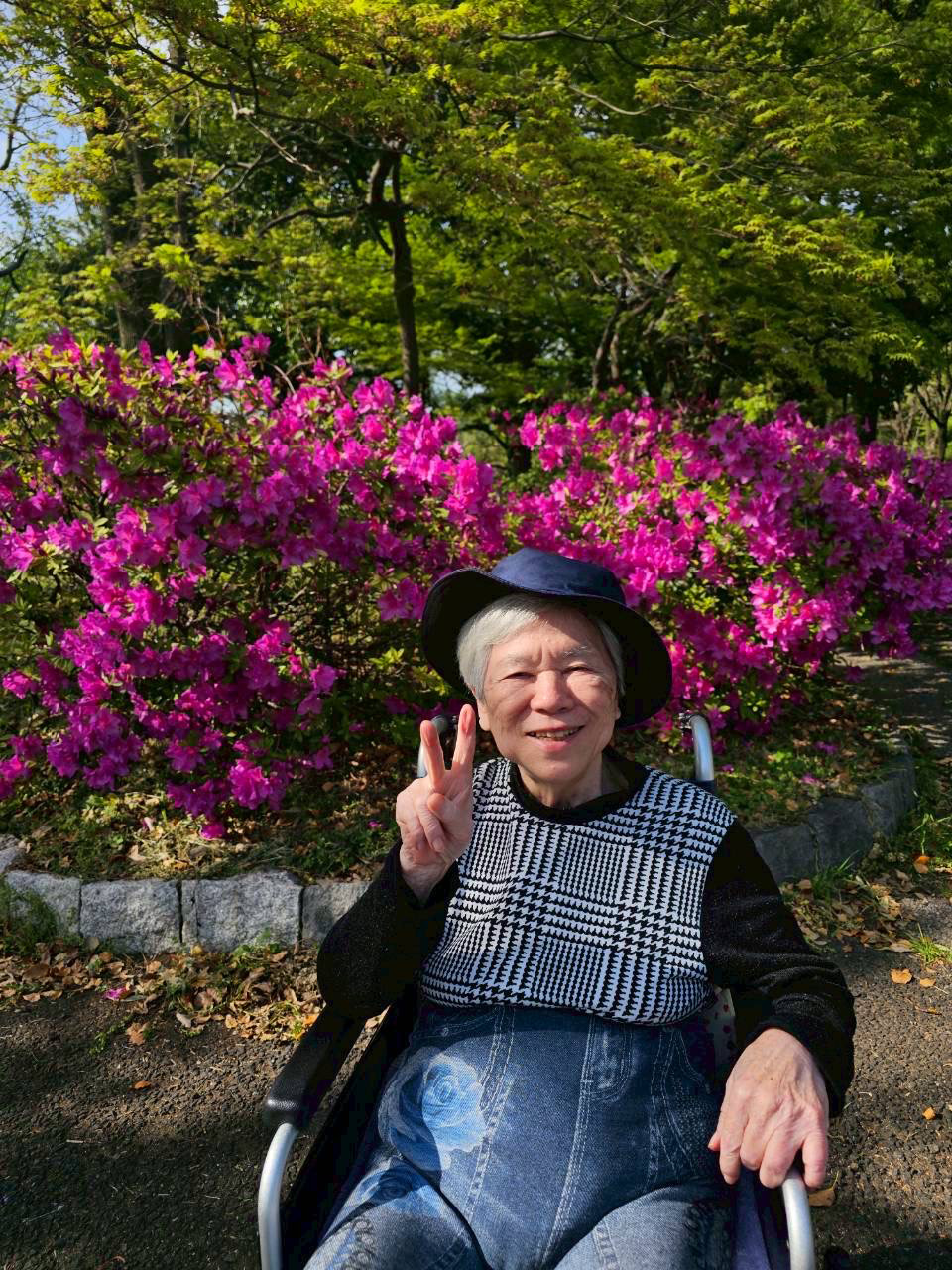 ネモフィラを観賞してきました。