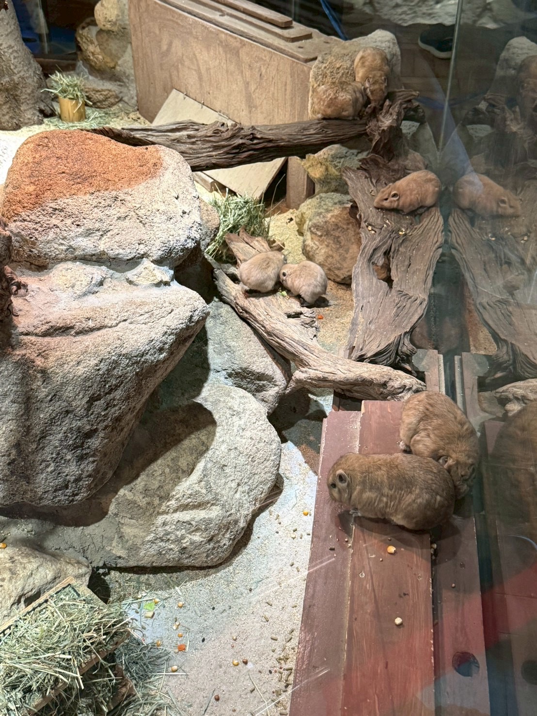 足立生物園へ外出してきました