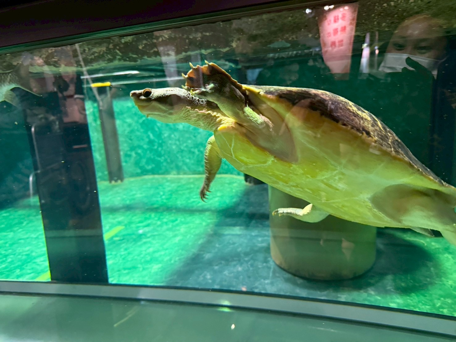 足立生物園へ外出してきました